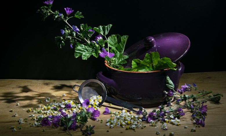 malva fitoterapia